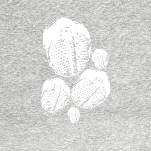 Trilobite tshirt and fun paleontology gift idea by Diggertees4u